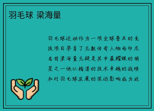 羽毛球 梁海量